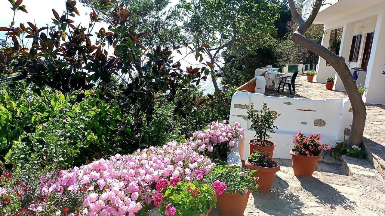 Studios Limnionas Marathokampos Exterior photo